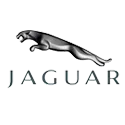 Jaguar, фото